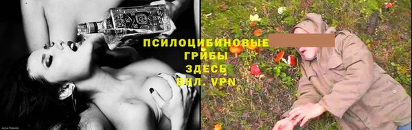 индика Алзамай