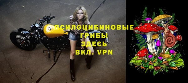 индика Алзамай