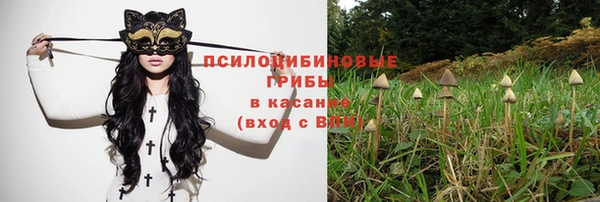 сатива Абинск