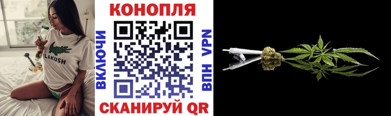 Каннабис SATIVA & INDICA  Лодейное Поле 